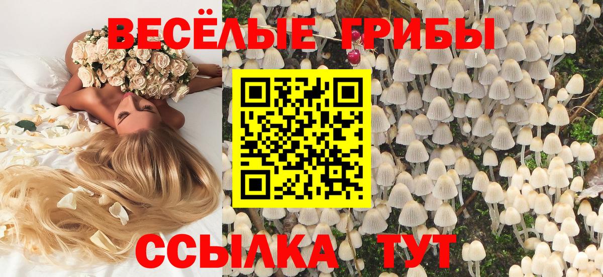 Псилоцибиновые грибы прущие грибы Карачаевск