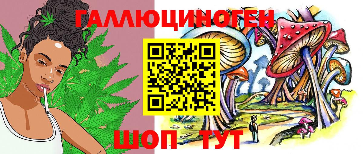 Псилоцибиновые грибы Magic Shrooms  Вход с VPN  Карачаевск 